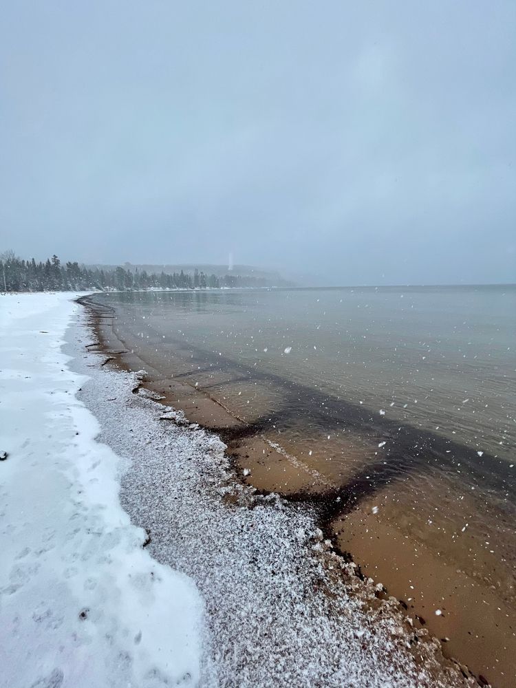 Bete Grise during winter