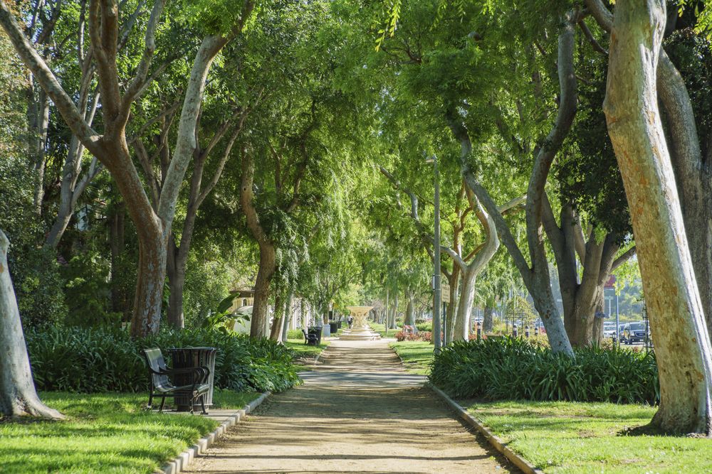 Walkway covered with trees on both the sides at Beverly Gardens Park