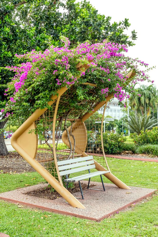 Visitors bench with beautiful purple flowers on top at Bicentennial Park