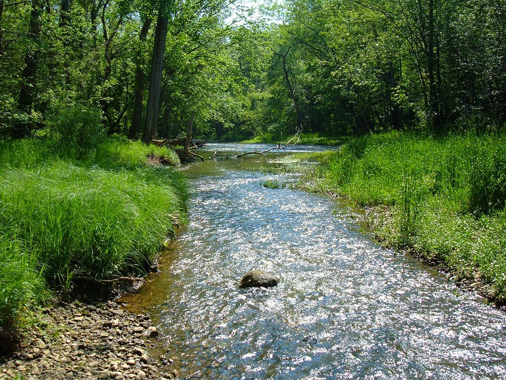 Scenic view of Big Darby Creek