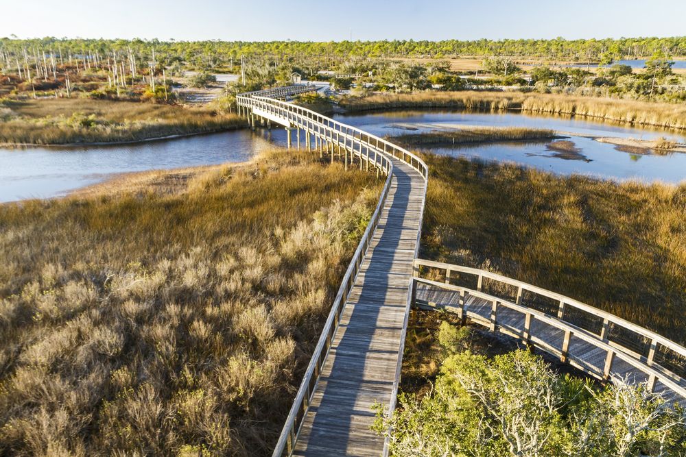 Aerial view of Big Lagoon State Park's boardwalk