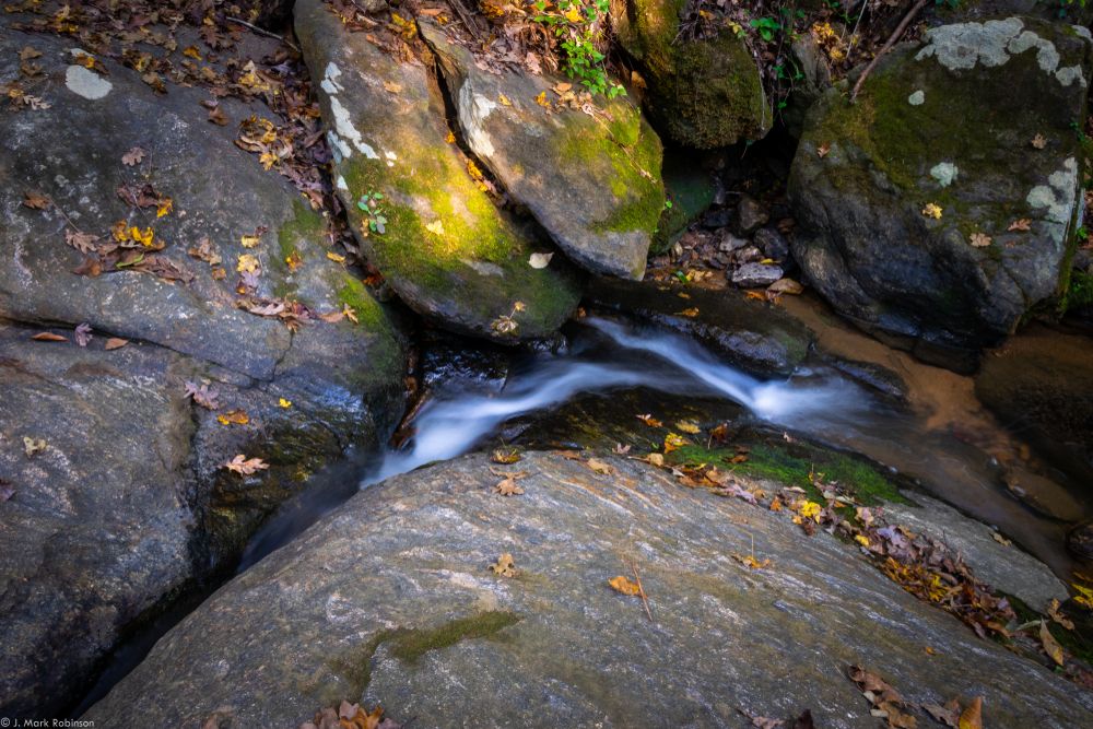 Stream on Birchmore Trail