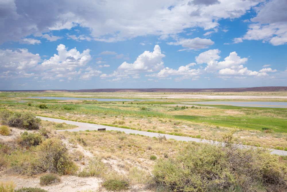 Sunny day at Bitter Lake National Wildlife Refuge