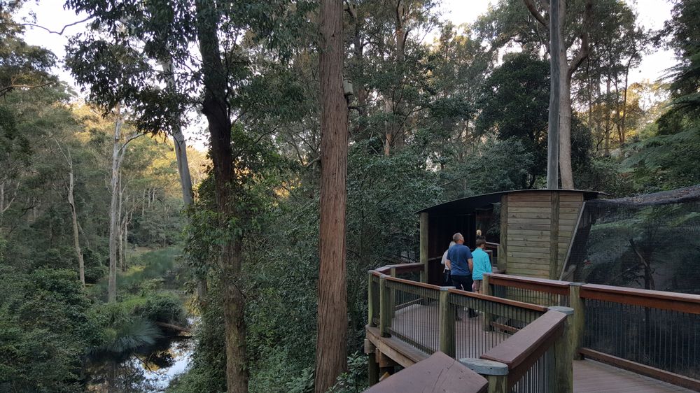 Tourists exploring the Blackbutt Nature Reserve