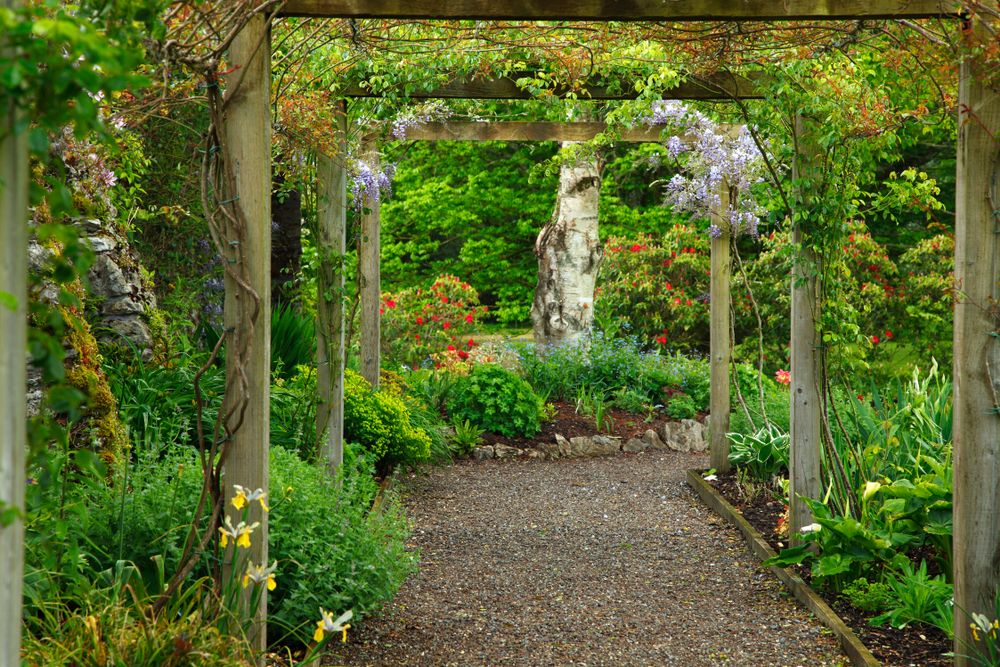 Scenic view of the gardens at Blarney Castle