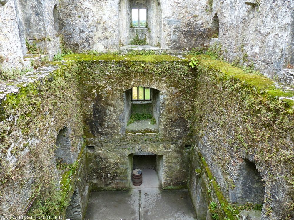Interior of Blarney Castle and Garden