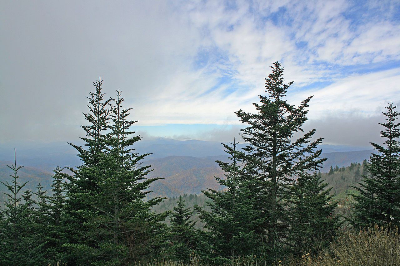 Mountain views from Blue Ridge Parkway