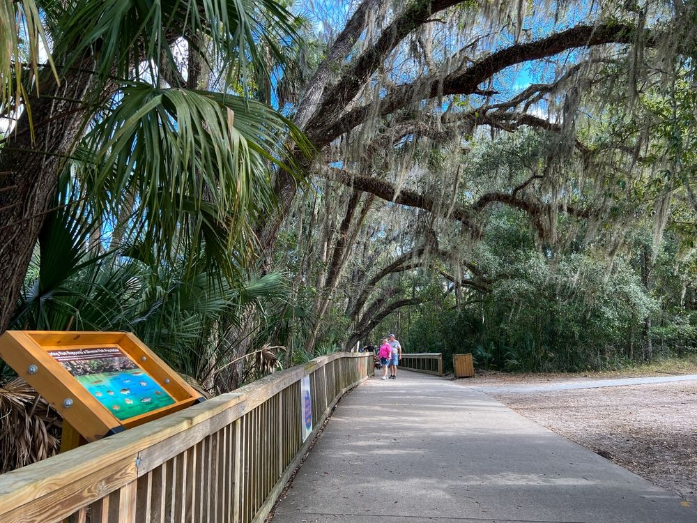 A couple strolling around the Blue Spring State Park