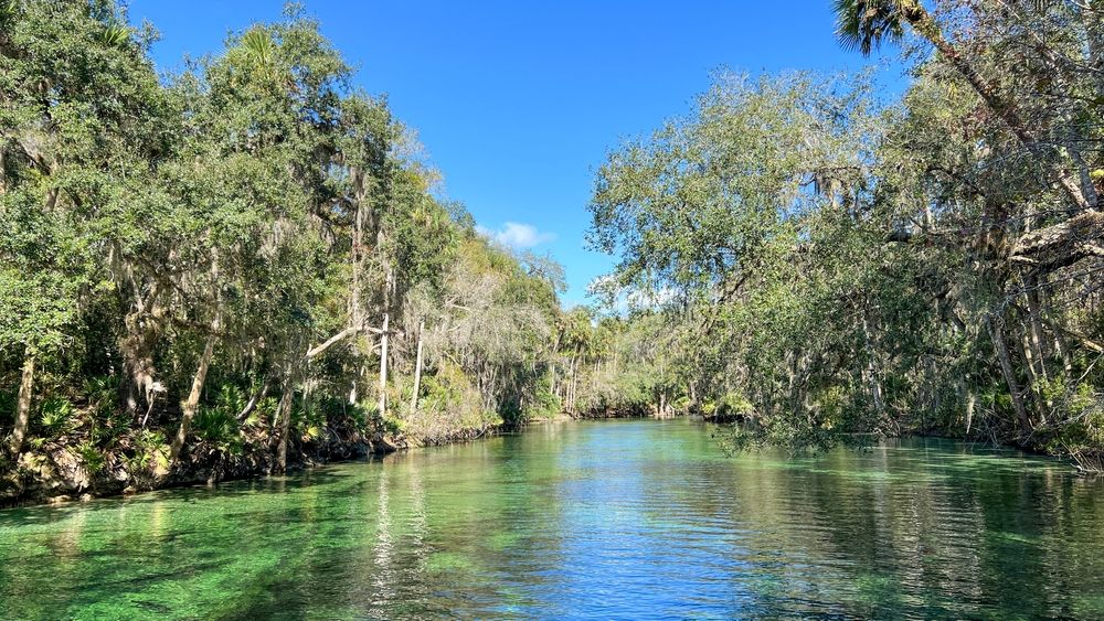 Scenic view of the Blue Spring State Park