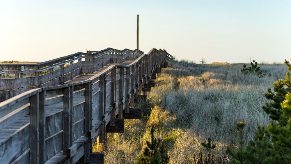 Boardwalk in Long Beach