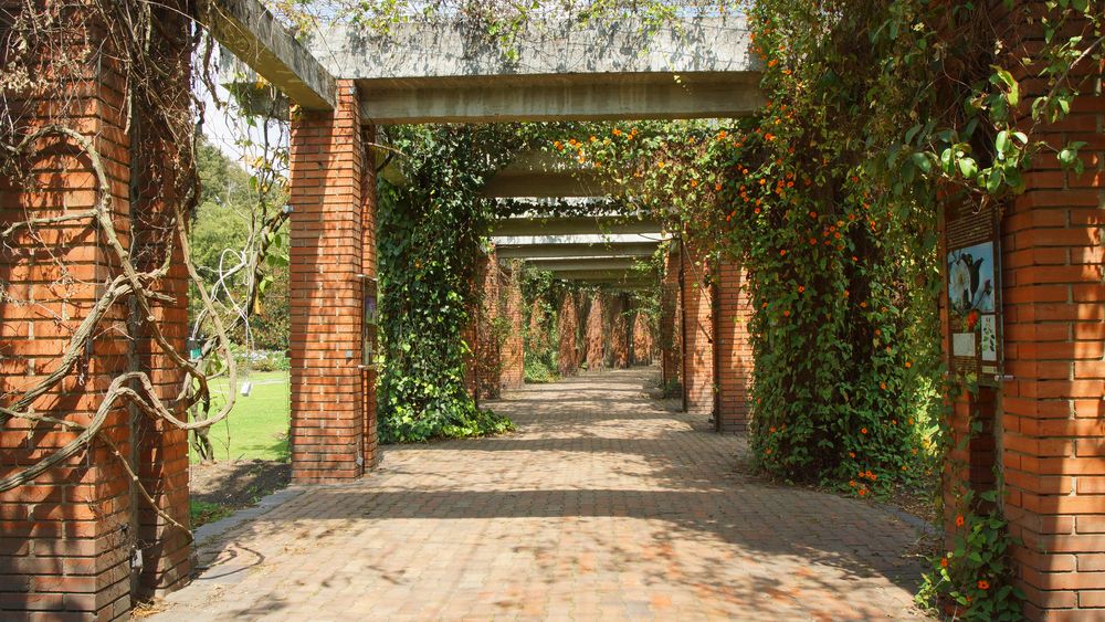 Walkway at Bogota Botanical Garden