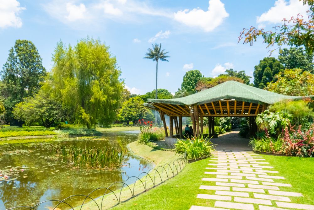 Botanical Graden of Bogota