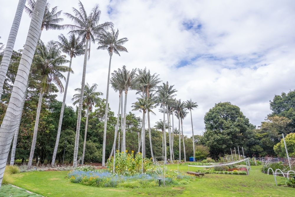 Landscape of Bogota Botanical Garden