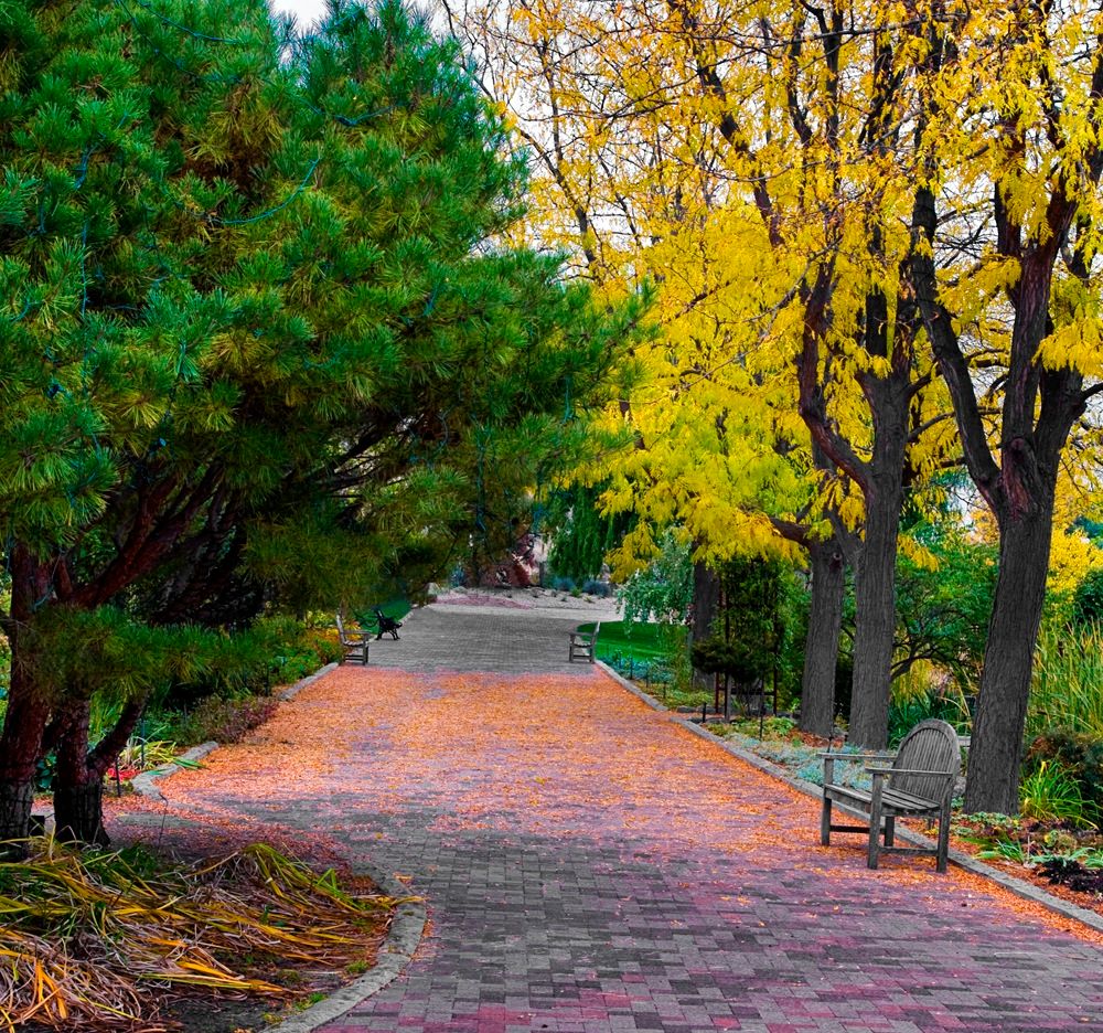 Benches along a trail at Boise Botanical Gardens