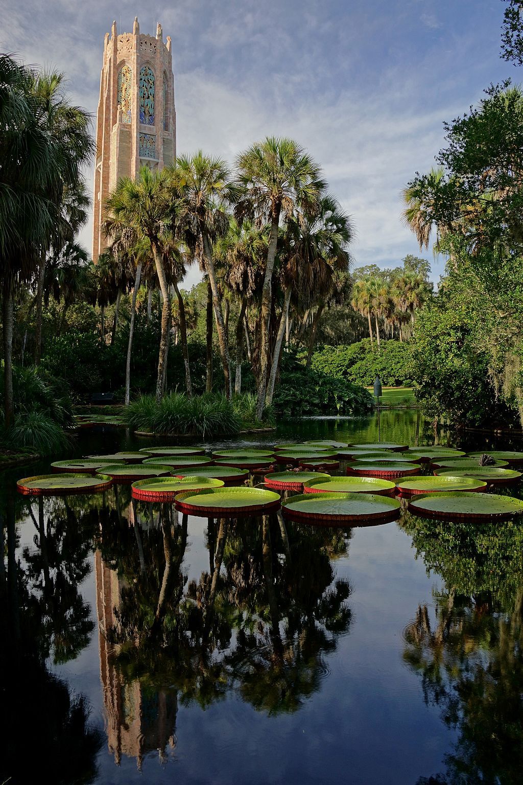 Scenic View of Serene Bok Tower Gardens