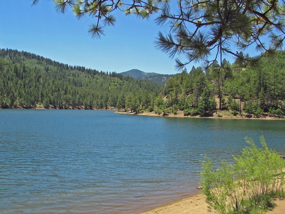 Bonito Lake surrounded by lush greenery