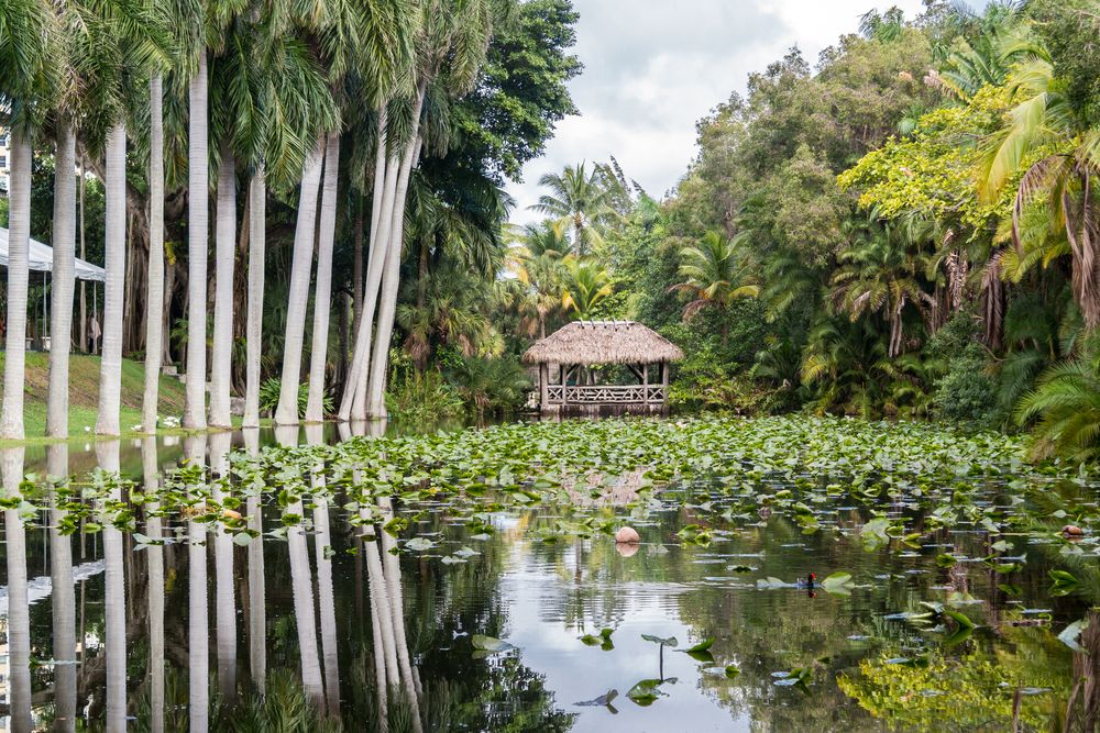 Pond at Bonnet House Museum & Gardens