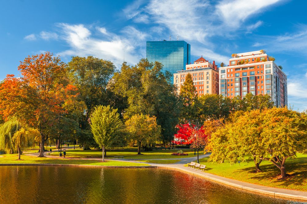 Autumn view of Boston Public Garden