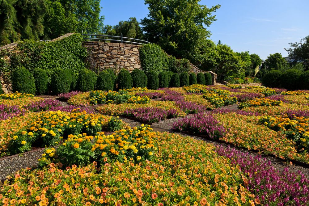 View of Botanical Gardens at Asheville
