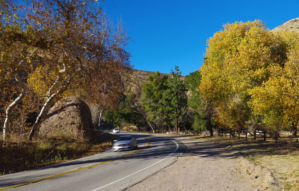 Road leading to Bouquet Canyon Park