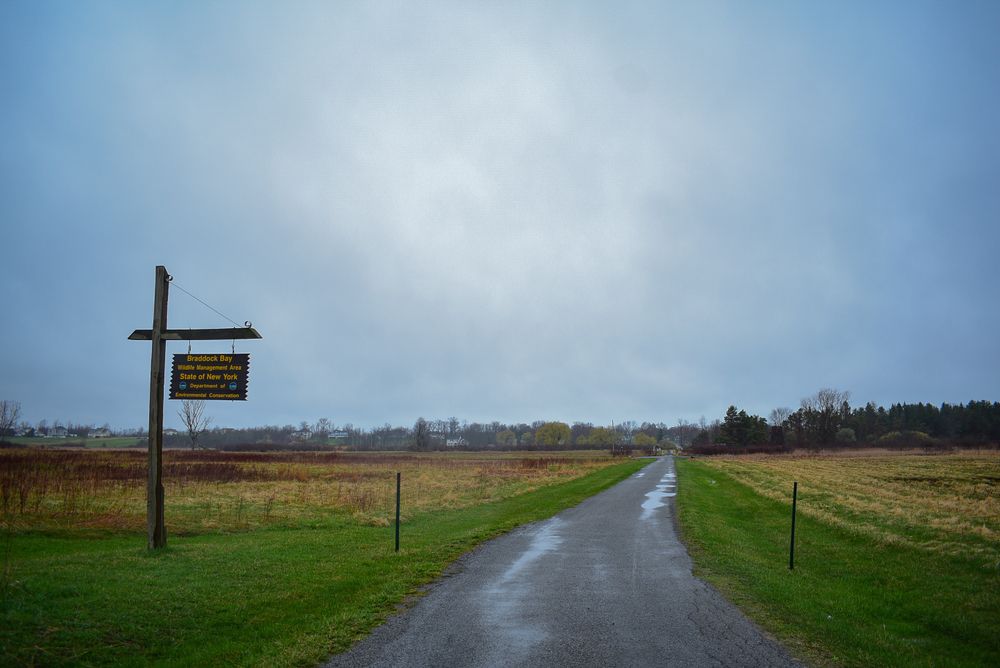 Hiking trail at the Braddock Bay Park