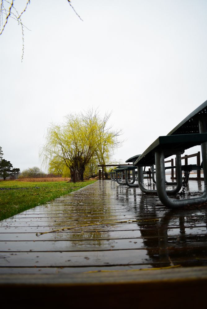 Braddock Bay Park during rainy centre
