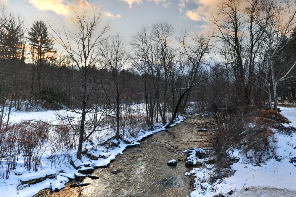 Scenic view of Brattleboro Snow