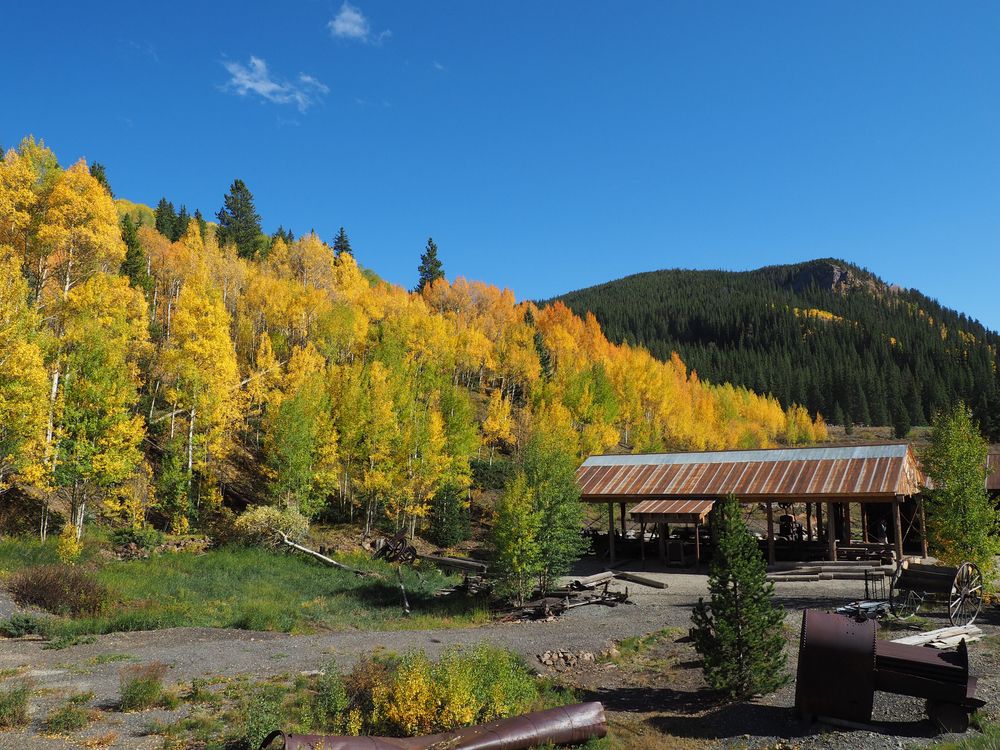 Breckenridge Sawmill Museum surrounded by tall trees