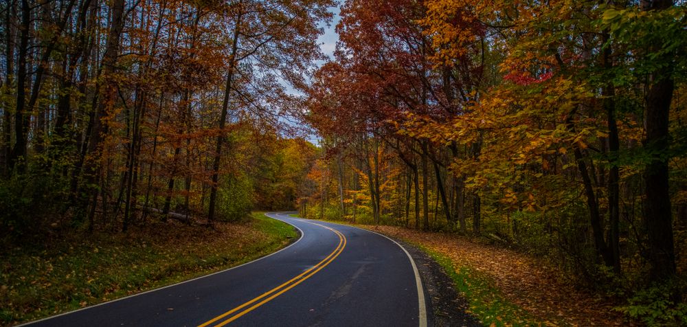 Scenic driveway at Brecksville Reservation