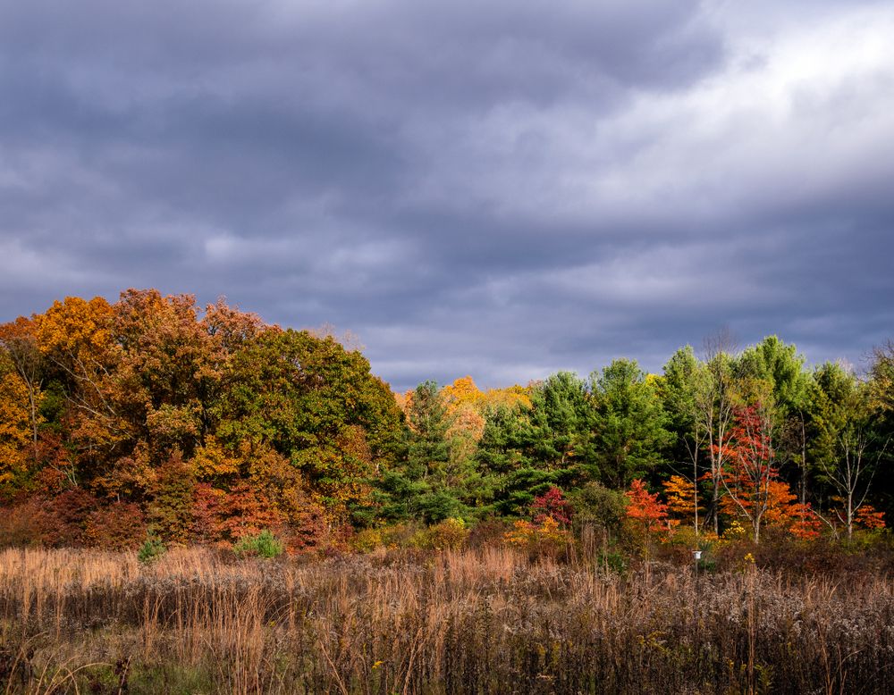 Brecksville Reservation during fall