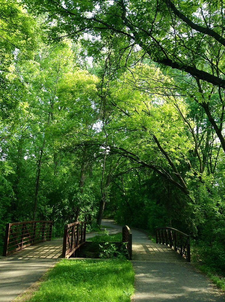 Nature trail at Bredesen Park
