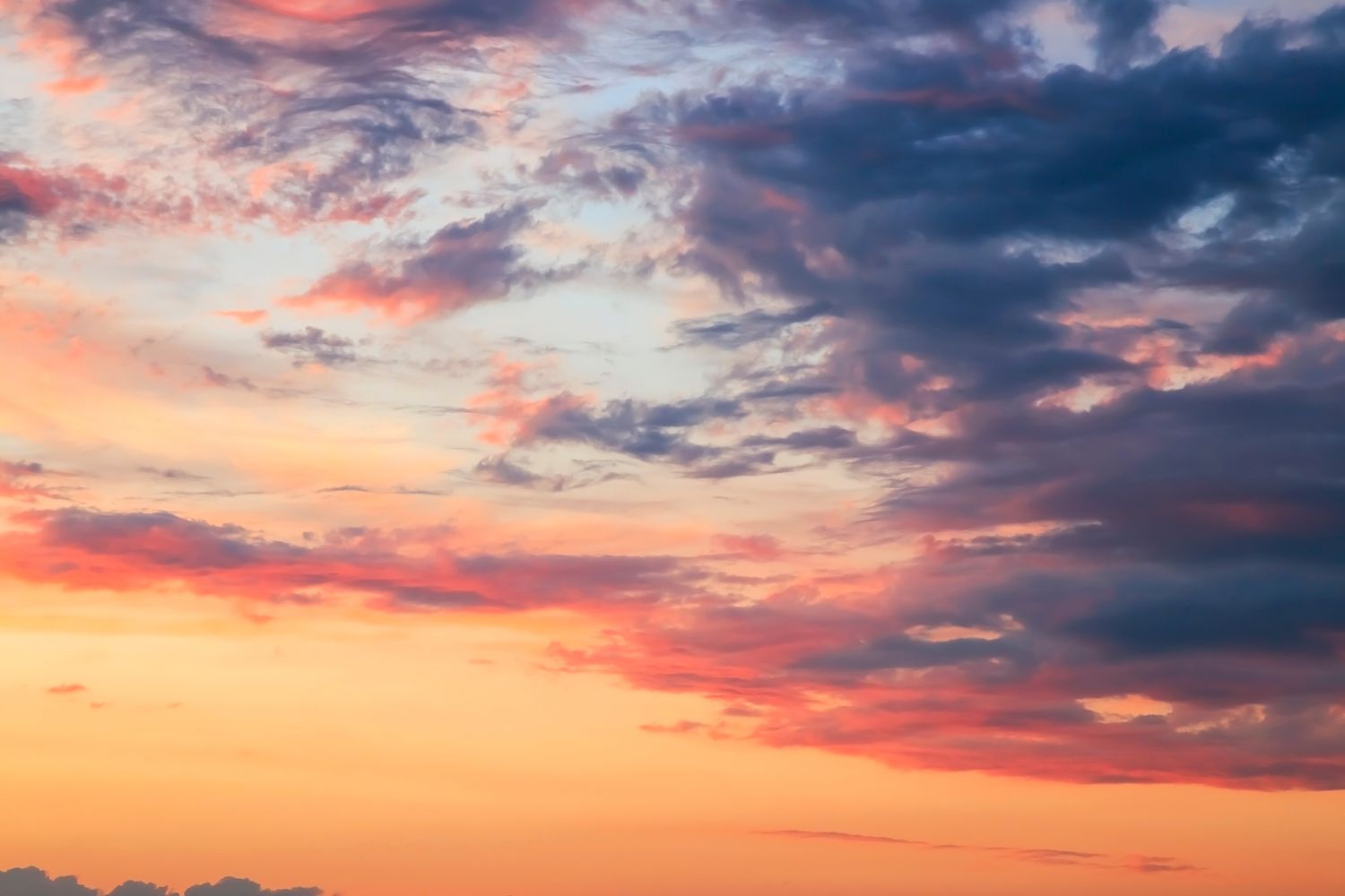 15 Best Things to Do in Bristow, VA Travel Lens