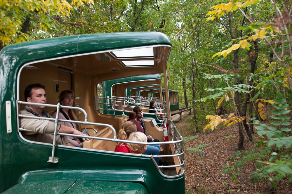 A tour vehicle along Bronx Zoo