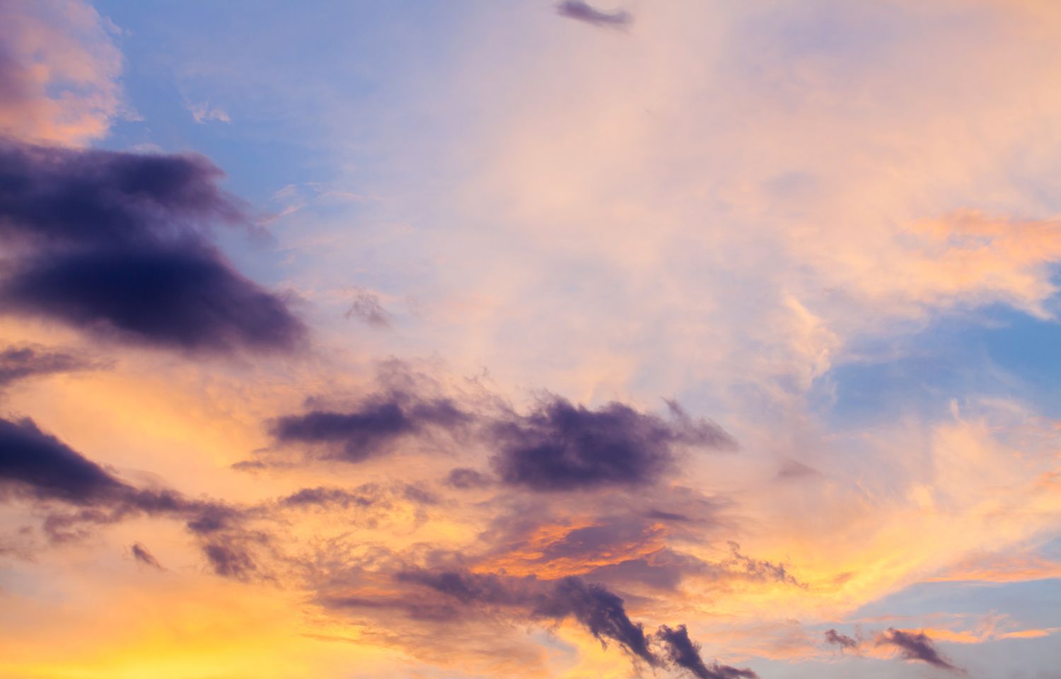 20 Best Things to Do in Brookhaven, MS Travel Lens