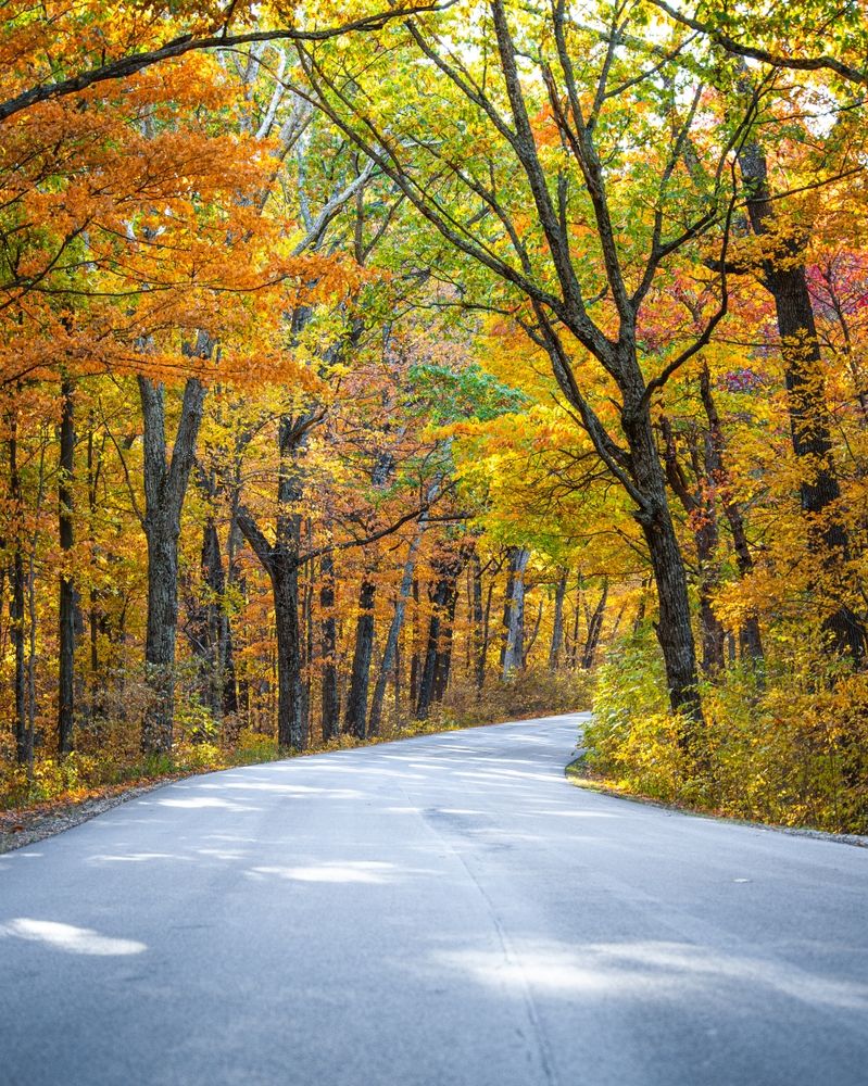 Stunning view of autumn trees covering both the sides of the trail at Brown County State Park
