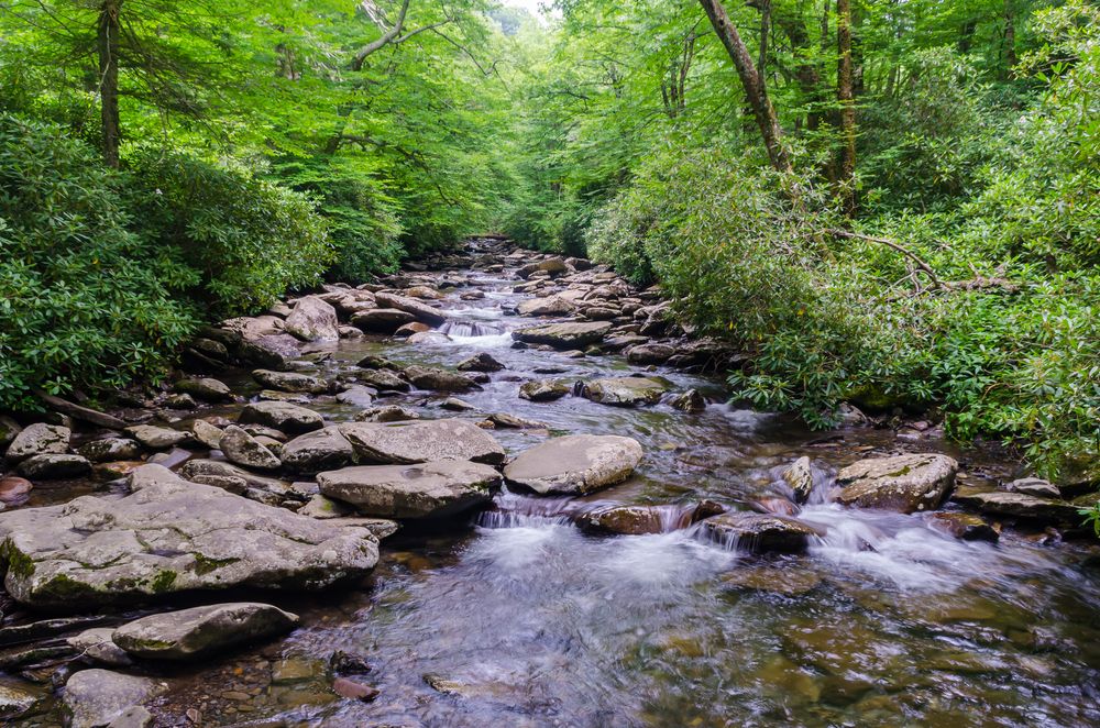 Scenic view of Brown County State Park