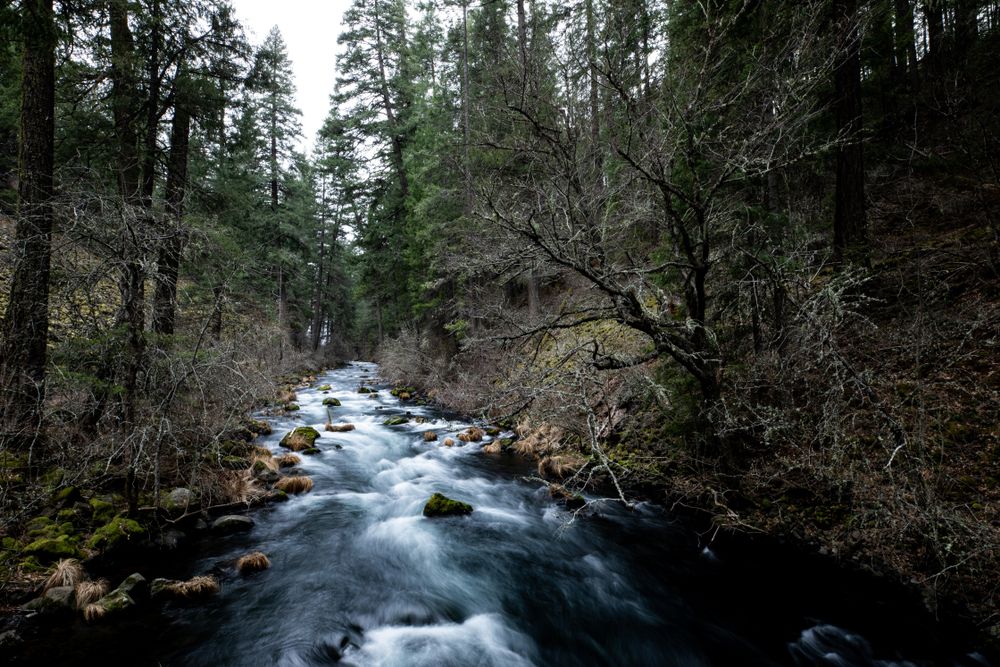 Downstream of Burney Falls State Park