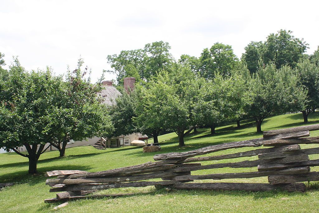 Orchard at Burnside Plantation