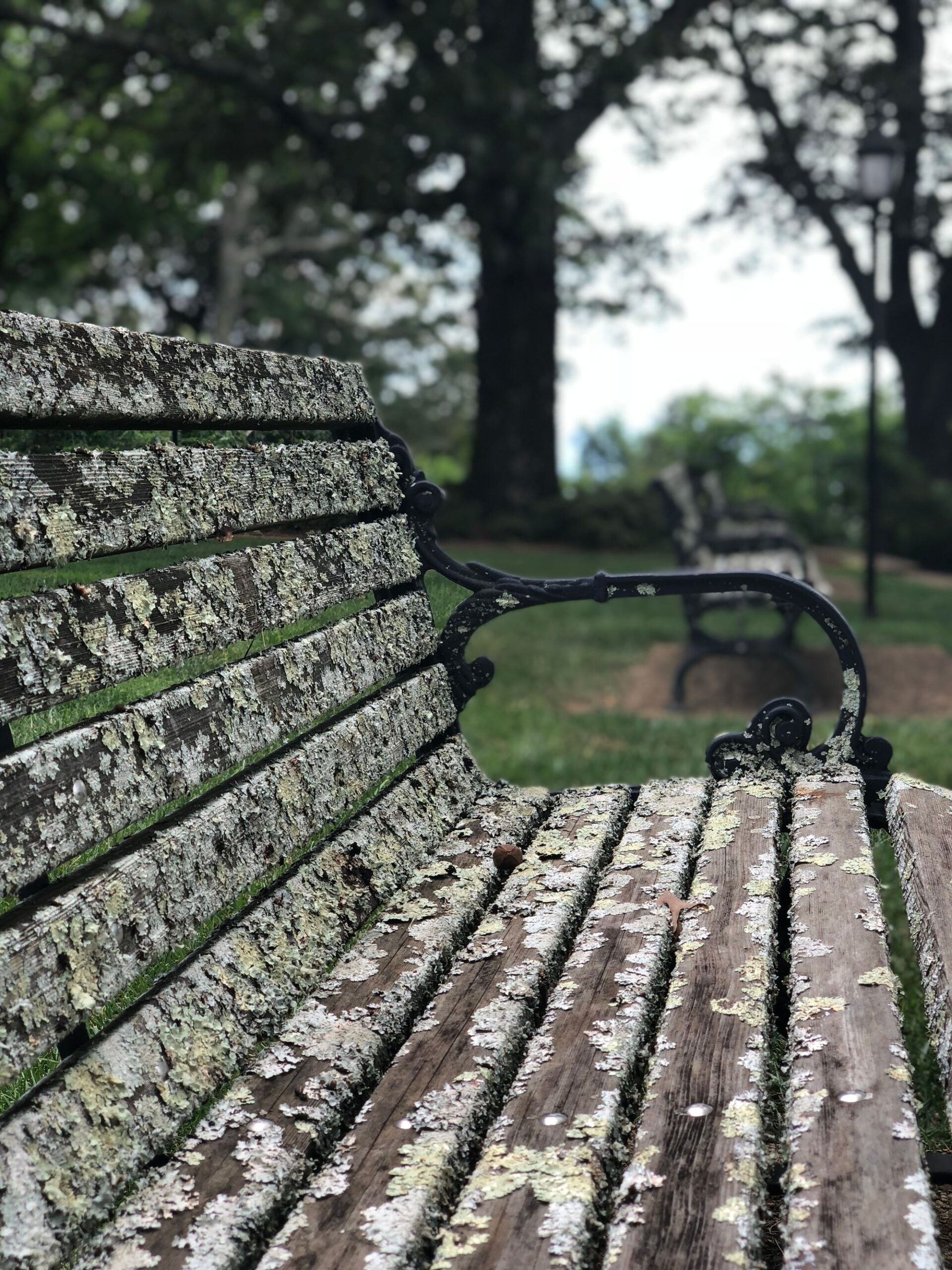 Old chair at Burritt on the Mountain