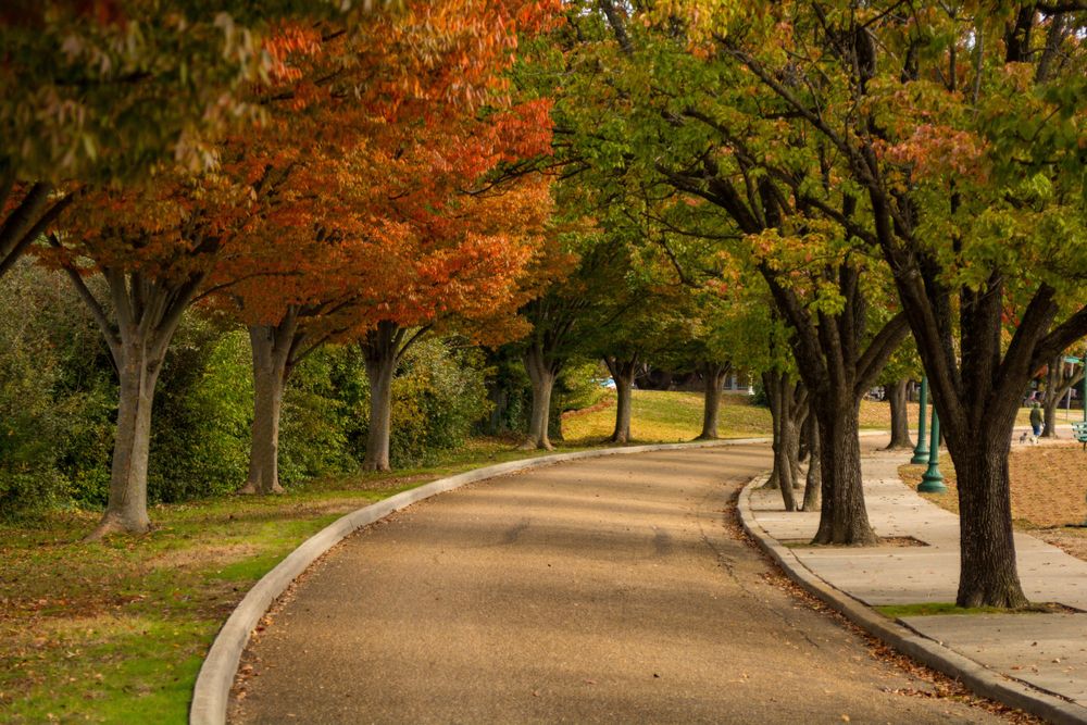 Byrd Park during autumn