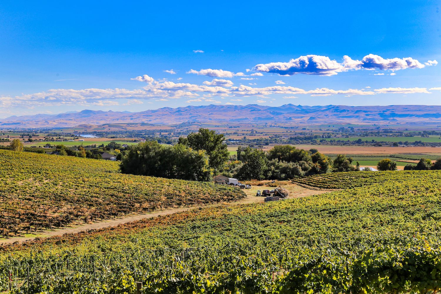 22 Best Things to Do in Caldwell, ID Travel Lens