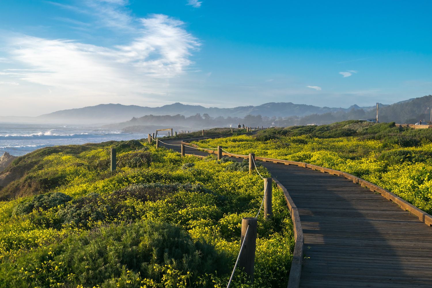 16 Best Things to Do in Cambria, CA