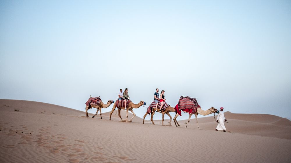 Camel Ride on the sand dunes in Abu Dhabi
