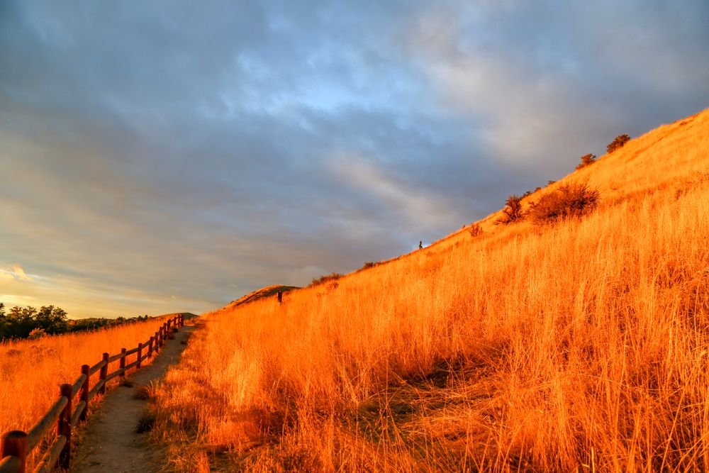 Scenic view of Camel's Back Park