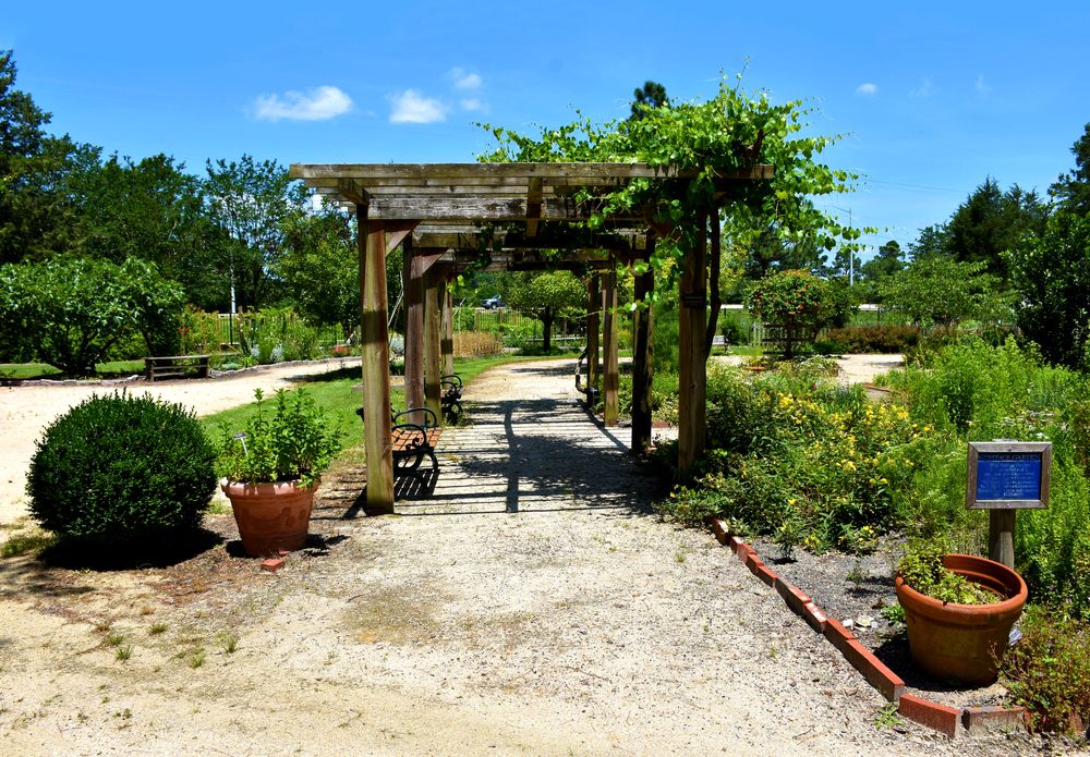 An trail at Cape Fear Botanical Garden