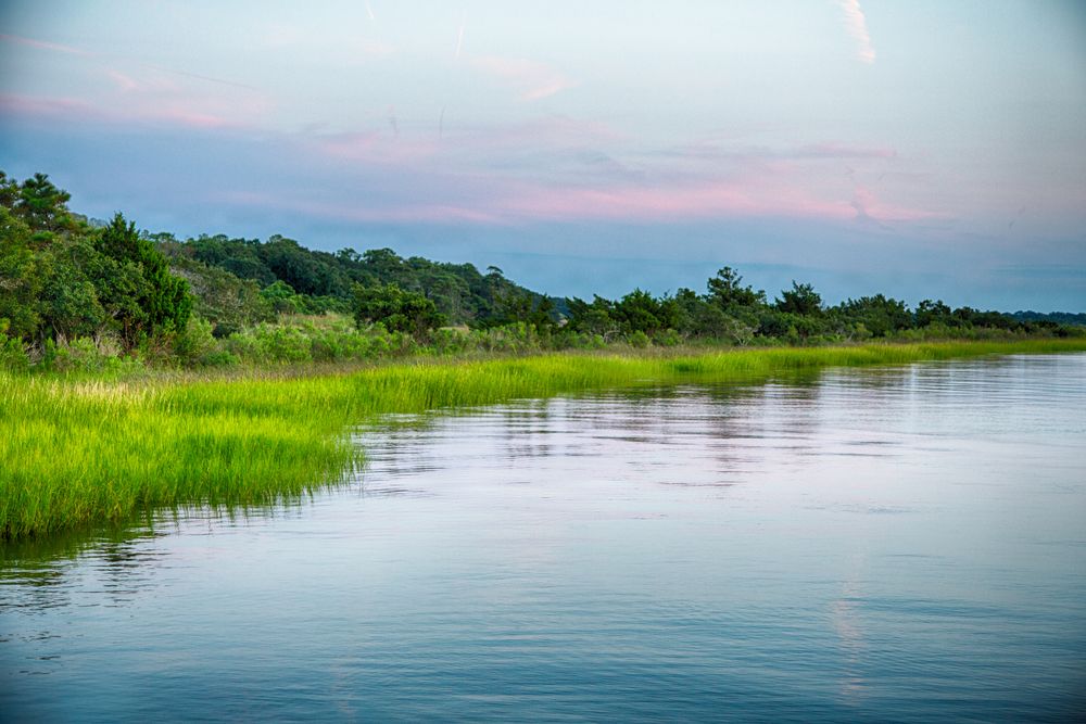 The calm waters of Cape Fear River