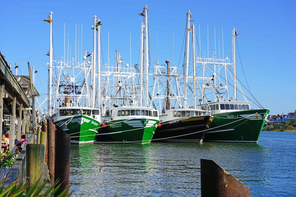 Ships docked at Cape May Harbor