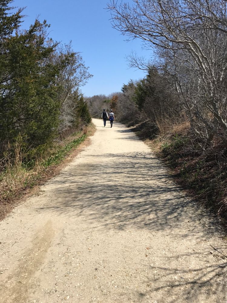 Hikers walking on the dusty trail in Cape May Point State Park
