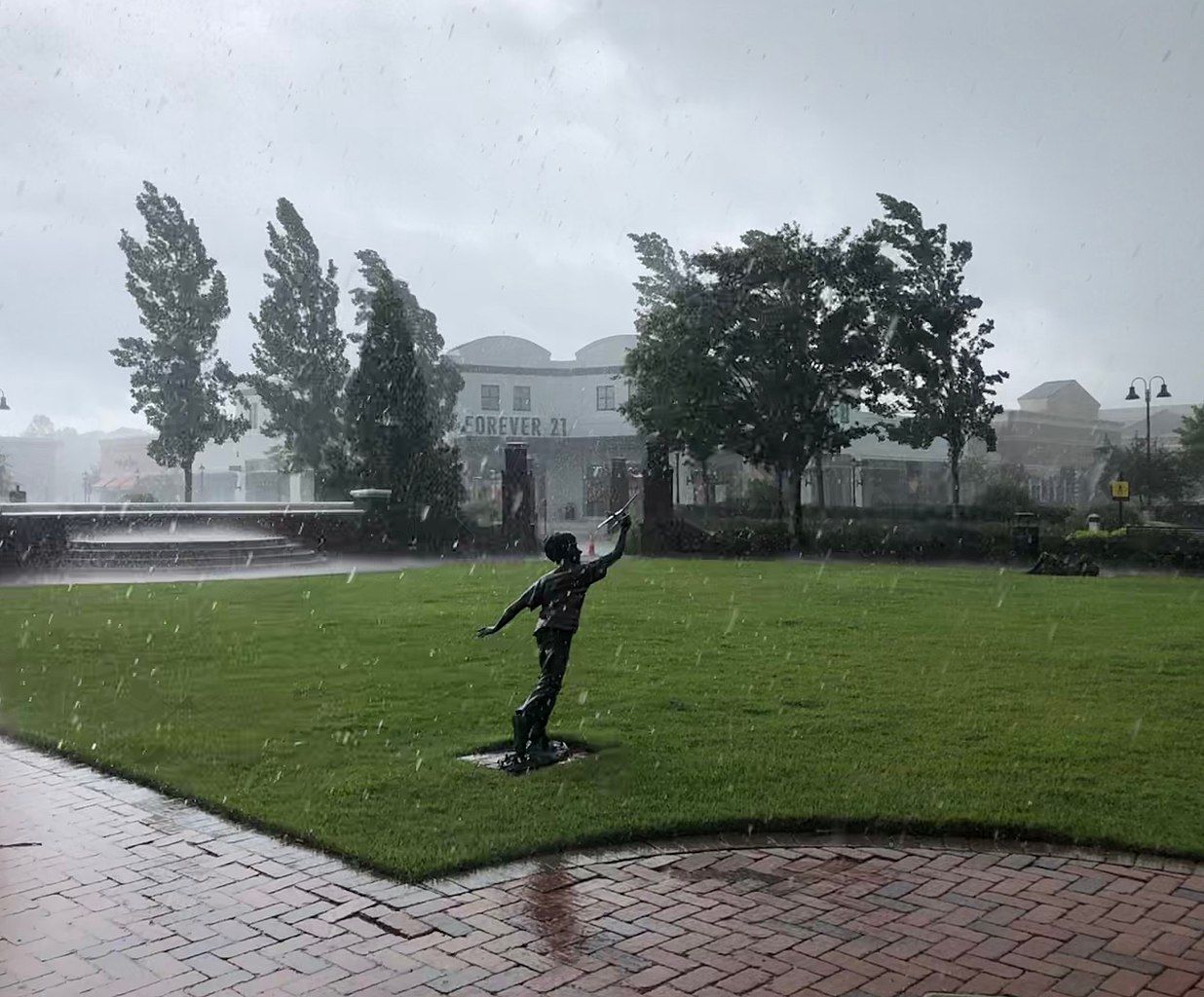 Carriage Crossing during rain