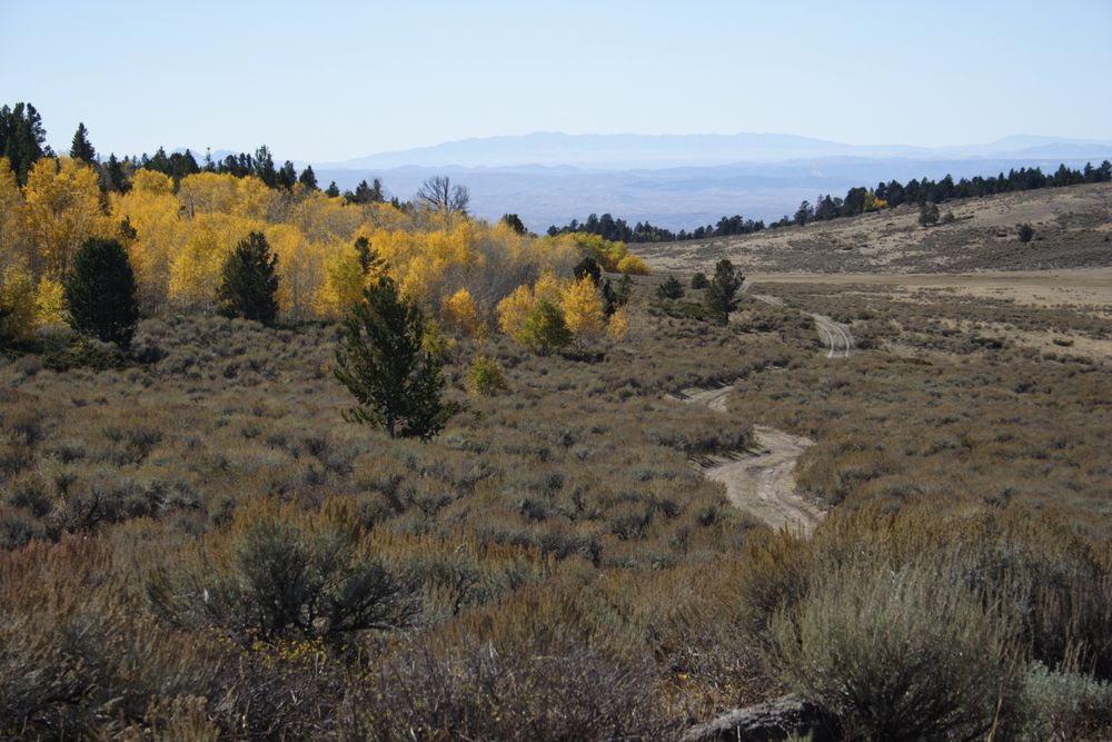 Landscape of Casper Mountain